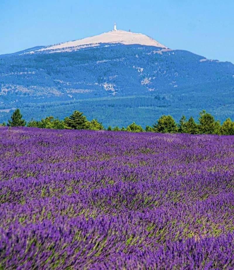 Domaine Du Moulin De Villefranche بيرنيه لو فونتينز المظهر الخارجي الصورة